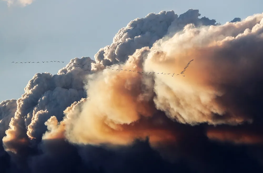 Forest fire: In Northern Alberta