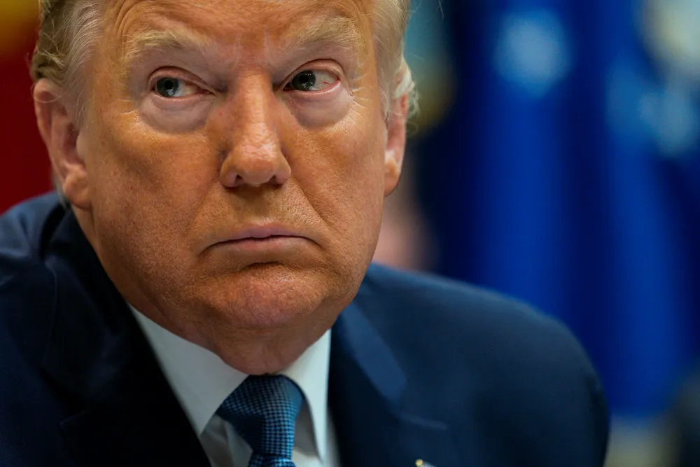 Influence: Exim Bank's goals are underpinned by US President Donald Trump's Prosper Africa initiative