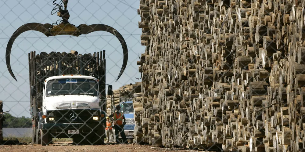 Timber being unloaded from a truck at a wood pulp plant.