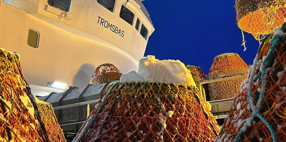 For «Tromsbas» på 67,55 meter var det plass til 9000 teiner om bord, så det holdt med én tur for å få tilstrekkelig med teiner med til feltet. Mindre båter, som «Kildin» og «Askøybas», kom fredag inn fra feltet for å hente siste ladning av teiner i Båtsfjord.