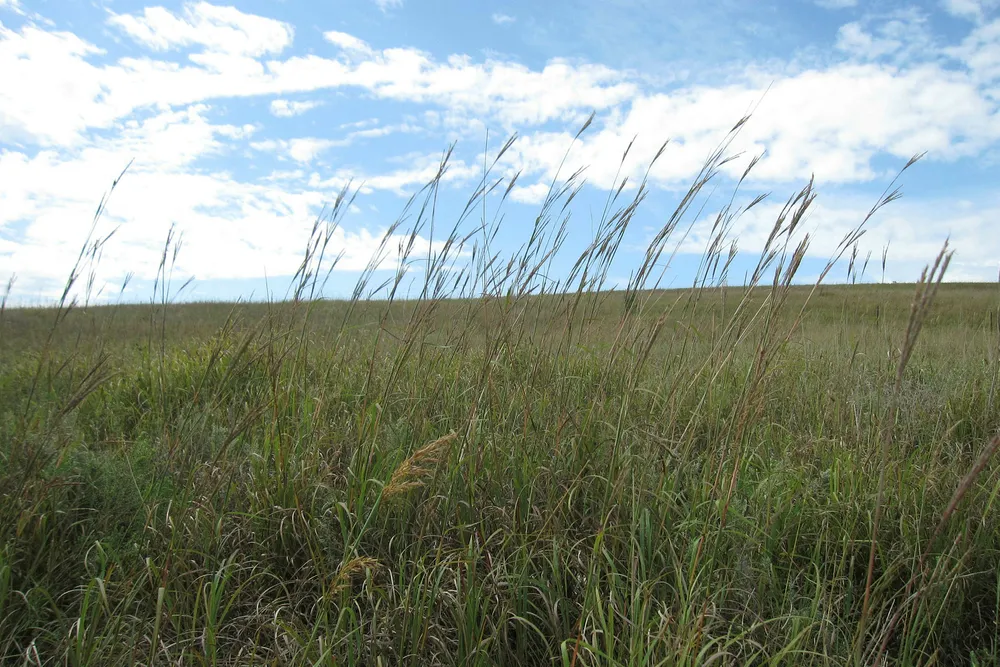 Tallgrass: Blackstone offers to buy up outstanding shares at 35.9% premium