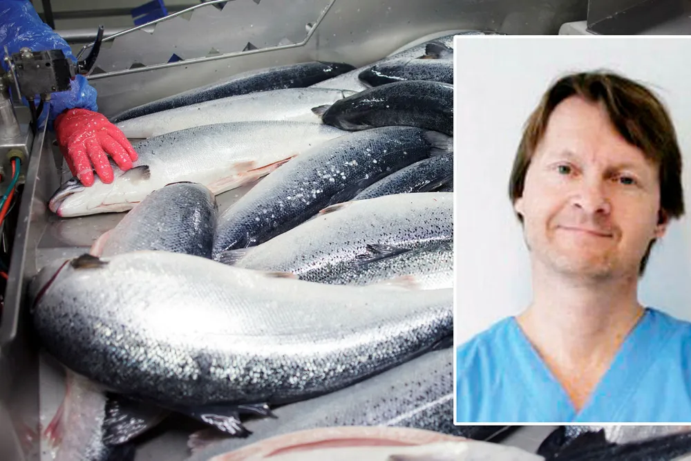 Øyelege og investor Ole Morten Halvorsen har de siste årene hatt stor suksess med investeringene i en rekke lakseaksjer på Oslo Børs. 2017 ble ikke noe jubelår, men hittil i 2018 har oppdrettsaksjene hoppet kraftig. Foto: Javad Parsa