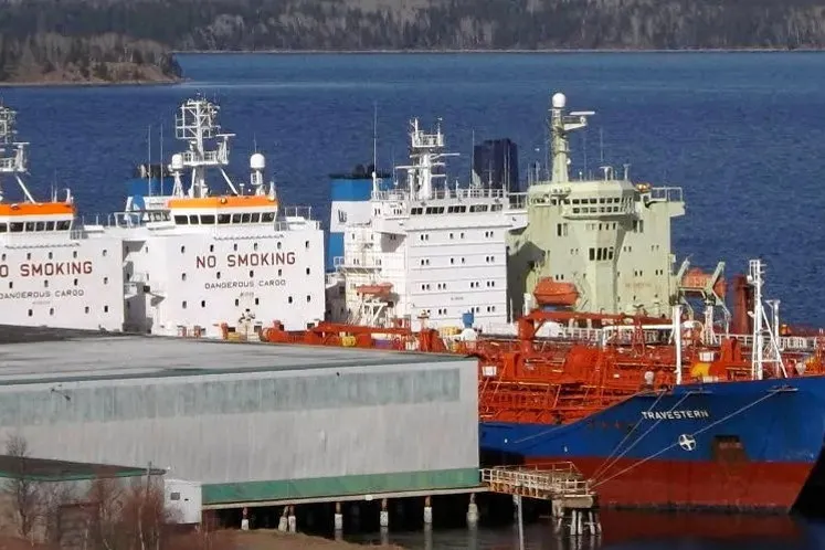 Ships docked at the Port of Botwood.