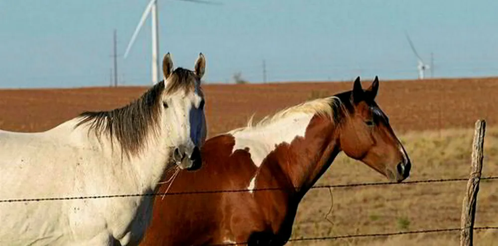 Oklahoma set to be US wind's number-two as developers pile in