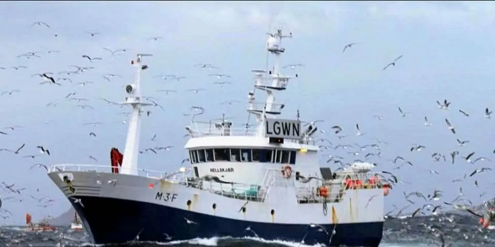 SPARER TORSKEN: «Hellskjær» fra Møre og Romsdal melder om et ujevnt fiske utenfor Sørøya. Fiskerne får godt betalt for torsken nå, men skulle gjerne hatt bedre betalt for seien.Foto: Privat
