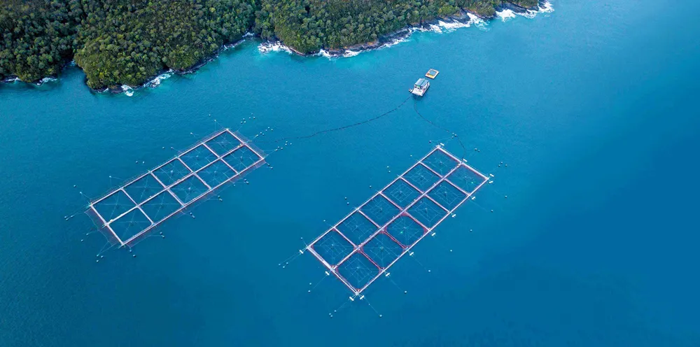 Yadran is suffering its second potential ISA outbreak in three months.