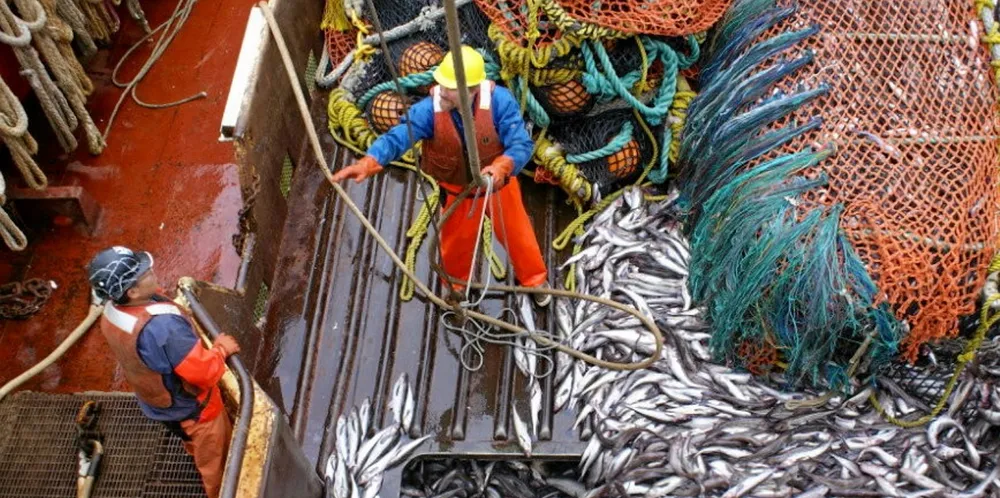 The price of pollock remains up in the air, according to several US Alaska pollock executives. Pictured above: Glacier Fish Company harvesting Alaska pollock in 2021.