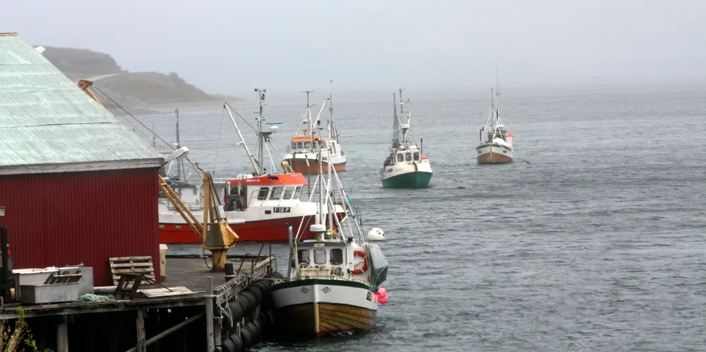 Arbeiderpartiet har en helhetlig fiskeripolitikk som gir muligheter for at våre felles nasjonale marine ressurser kommer hele nasjonen til gode.