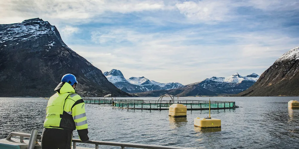 First across the finish line: The Global Aquaculture Alliance (GAA) finally landed a Norwegian salmon farmer for its Best Aquaculture Practices (BAP) standard.