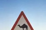 Warning: Qatar as told Asian customers that it will be cutting crude supplier