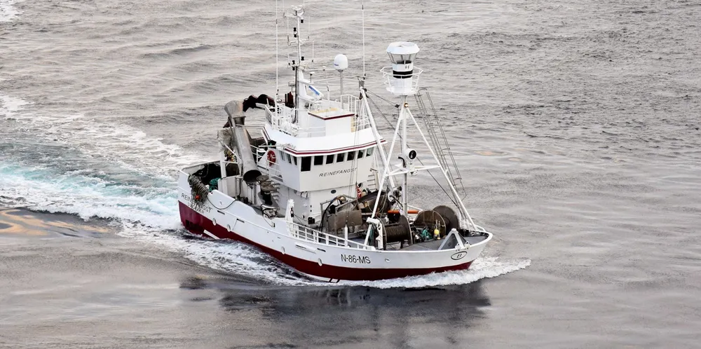 «Reinefangst», også kjent som hvalbåt, har i år startet sesongen på seifiske.