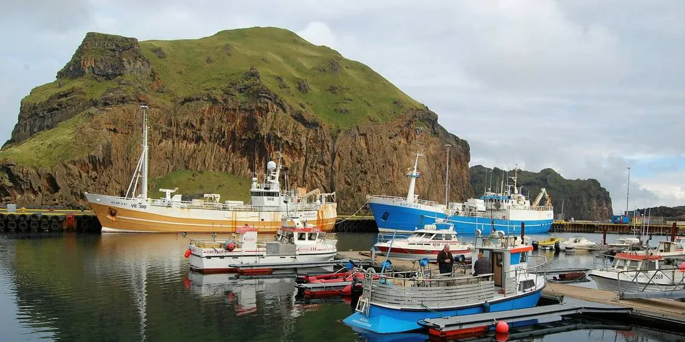 RETT: Ringnotfartøyene på Island har rett til å fiske både sild og makrell, mens trålerne kan fiske bare makrell.Foto: Nils Torsvik