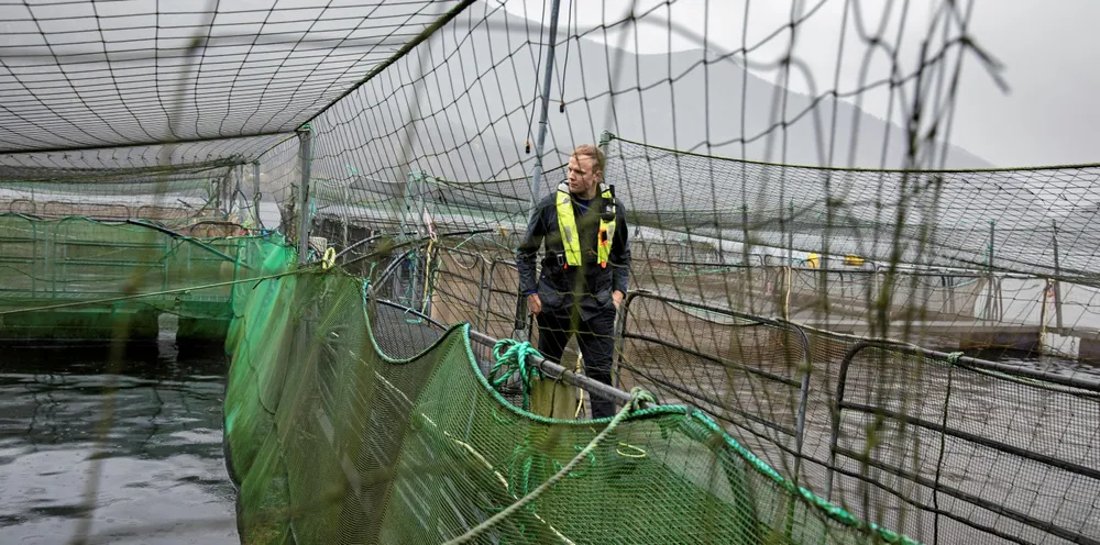 Frå ein sped start på 70-talet har Eide Fjordbruk i dag vakse seg til ein milliardbedrift. Sondre Eide på smoltanlegget i Skogseidvatnet.