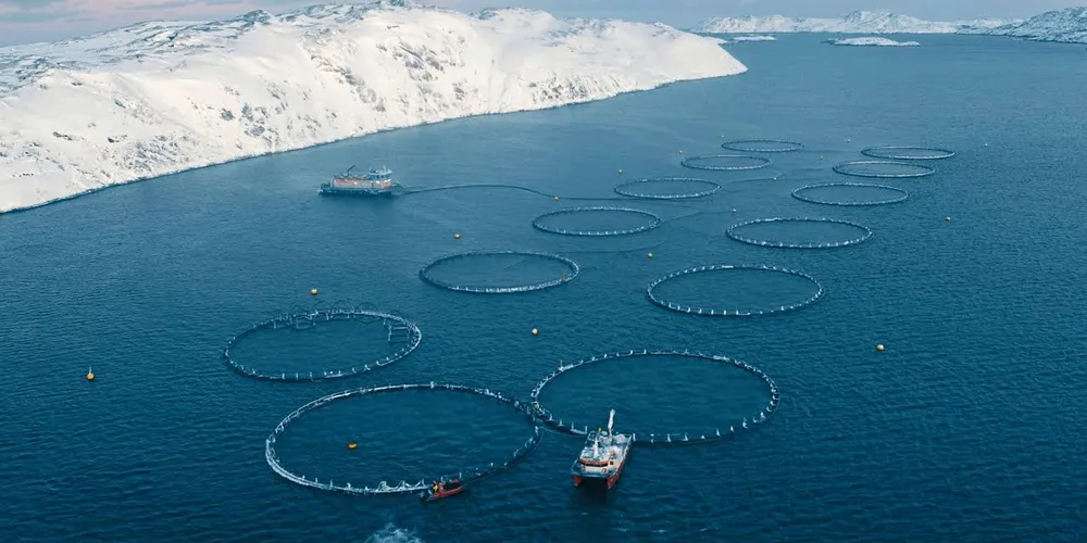 The company owns 35 sites for salmon and rainbow trout farming, with total potential production volume of around 50,000 metric tons. Of them, 12 sites are in operation.