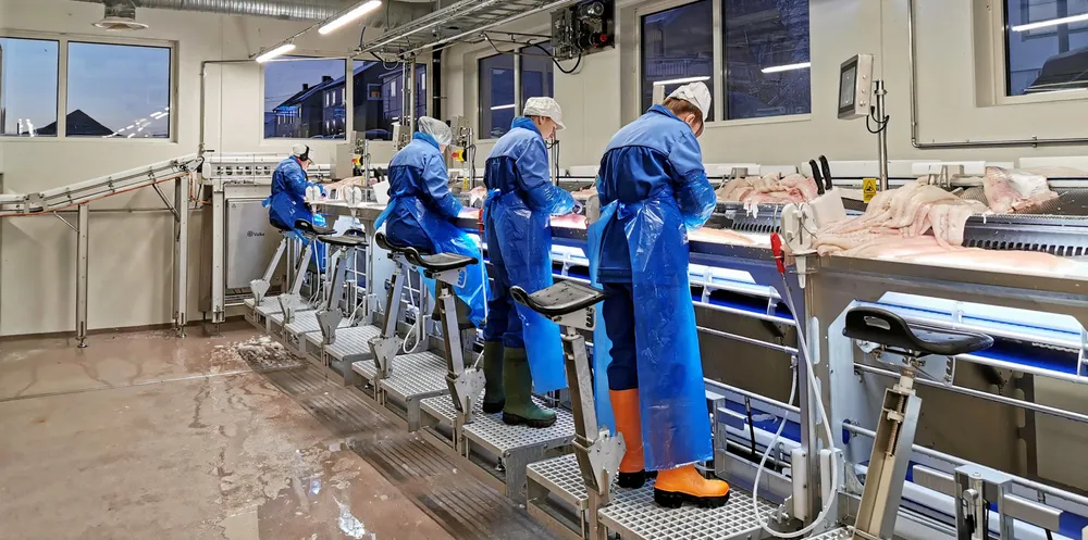 – På Tobø Fisk hadde vi eit kraftig utbrot for litt sidan, der nesten femti prosent av dei tilsette blei berørte. Det gjorde også at vi måtte stoppa produksjonen i nokre dagar, seier Sigvald Rist, konserndirektør Insula Norge og kvitfisk, om utfordringa knytta til koronarelatert sjukefråvær.
