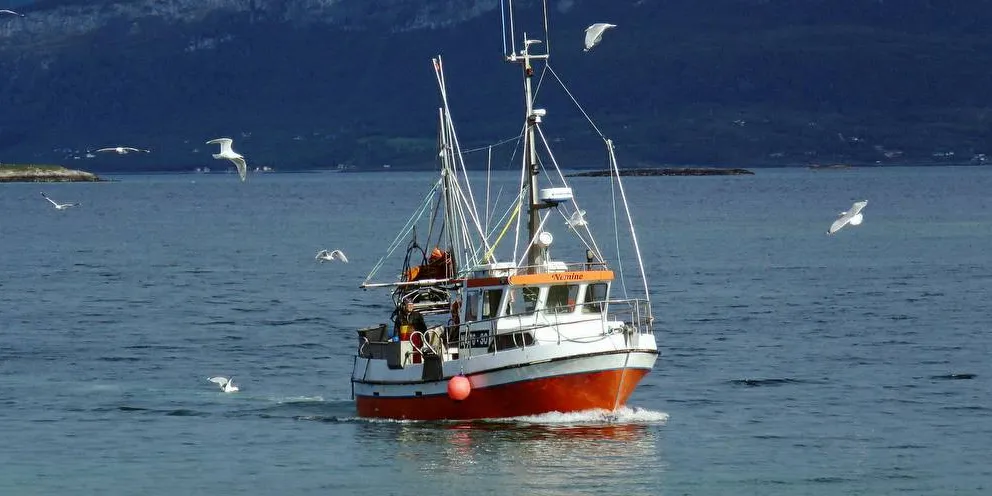 KUTT: Åpen gruppe-sjarken «Nemine» fra Sortland må belage seg på kvotekutt i 2018.