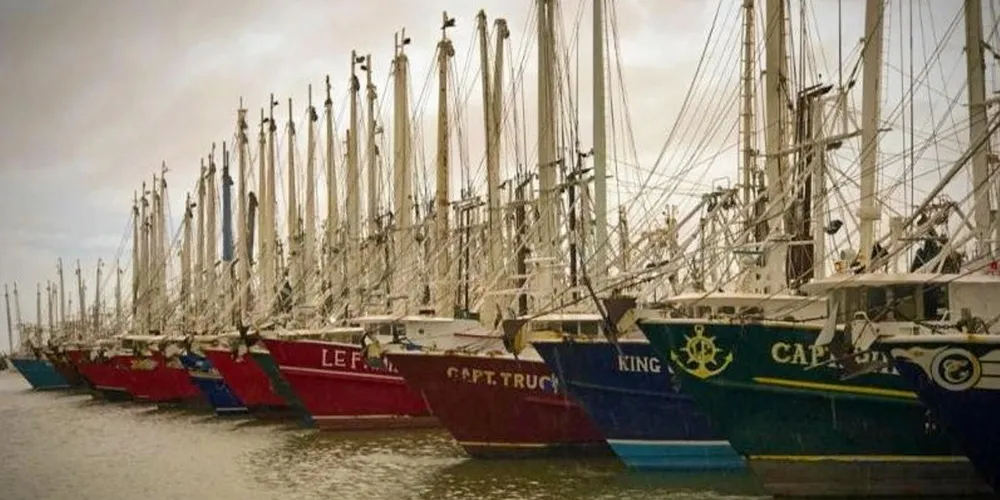High fuel prices and record low shrimp prices paid to them have left American shrimp harvesters unable to leave the port, causing suffering and hardship to shrimp harvesters and communities that rely on them, the US industry claims.
