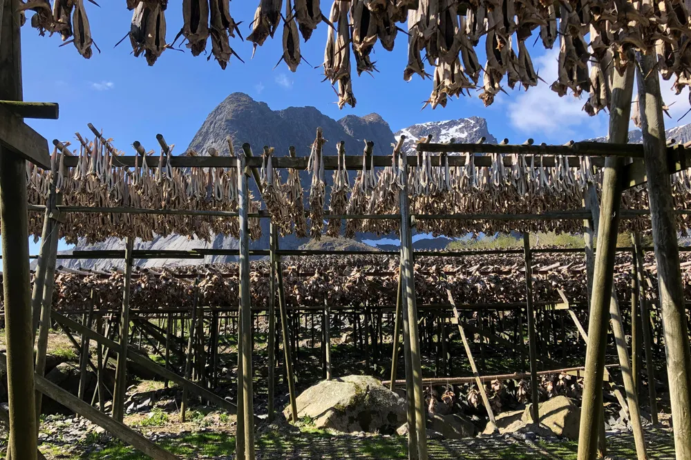 Lofoten, her representert ved tettstedet Reine, kan bli det første områder der en turistskatt, eller besøksavgift som den nye regjeringen velger å kalle det, blir testet ut.