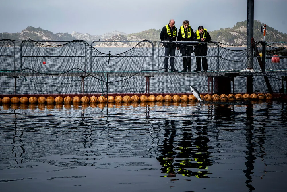 De siste årene har Heidi Baugstø (i midten) jobbet for å bygge lakseoppdrettsrigger. Her fra en tur til Bømlo i 2017, flankert av Olav Svendsen fra oppdrettsselskapet Bremnes Seashore (til venstre) og Guo Fuyuan fra CIMC Group i Kina.