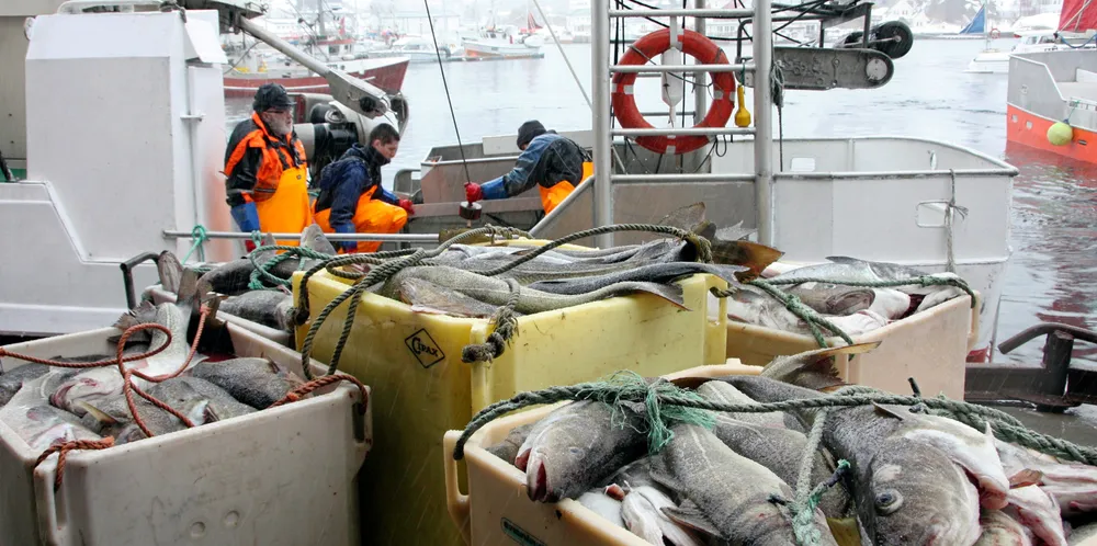 Etter flere uker med dårlige værforhold har det denne uke vært mulig å fiske etter torsk. Etterspørselen er høy og snittprisen å sløyd torsk uten hode ligger på 49,02 per kilo. Dette er et arkivfoto, og er ikke tilknyttet «Einarsons» fangst.