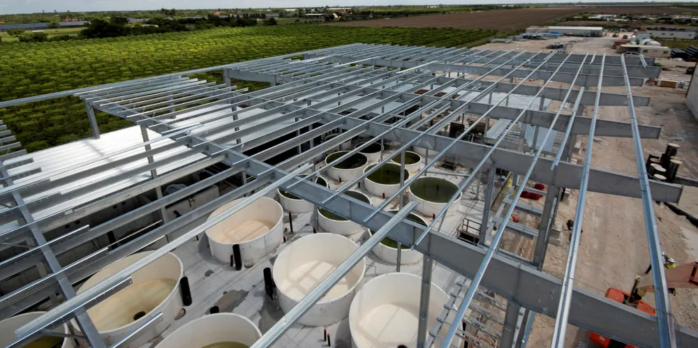 Atlantic Sapphire facility in Miami