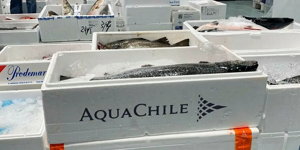 AquaChile: Taking on more capacity.