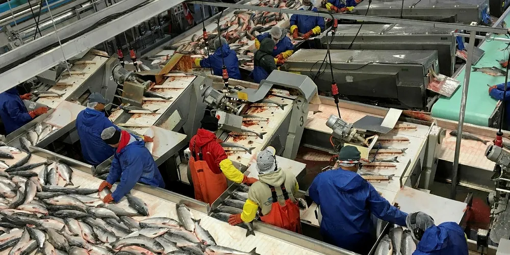 Silver Bay Seafoods Plant.
