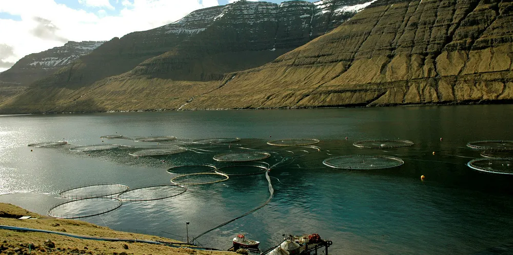 Bakkafrost salmon farms in the Faroes.