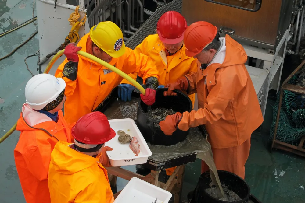 Bioprospekteringstokt på forskningsfartøyet «Kronprins Haakon». Havforskerne går imot mineralutvinning på havbunnen, et råd vi mener regjeringen burde følge. Et nytt EU-nei til slik aktivitet, gir imidlertid håp om for dem som ønsker slik aktivitet stoppet.