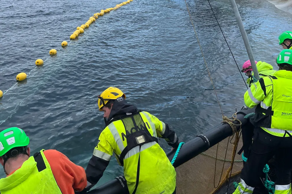 Ansatte i havbruksnæringa må takle mange forskjellige situasjoner og utfordringer. Her er ansatte hos Ellingsen seafood i aksjon på merdkanten da en vågehval plutselig hadde kommet inn i merden på en lokalitet ved Skrova i Lofoten i fjor sommer.