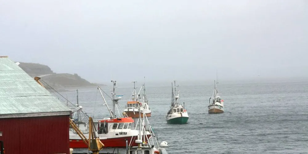 KYSTFLÅTE: Rødt mener kystflåten bør få større andel av totalkvoten, for å sikre verdiskaping i lokalsamfunnene og høy kvalitet på råstoffet.Illustrasjonsfoto: Terje Jensen