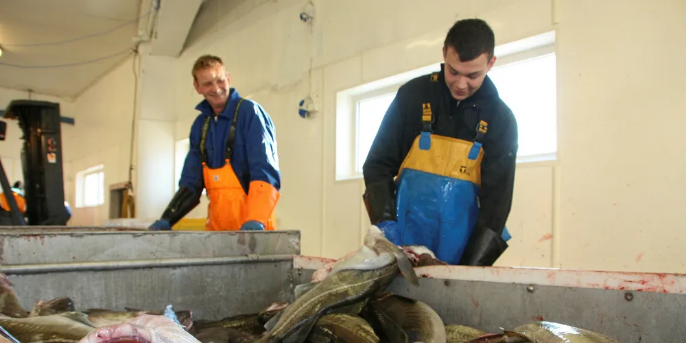 Analyst: Get ready for spike in fresh, frozen Atlantic cod prices
