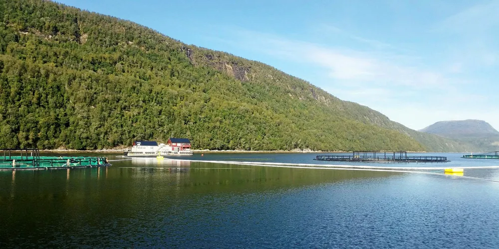 Cermaq's application for higher lice limits rejected