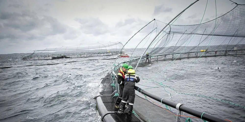 Illustrasjonsfoto: Ole Morten Melgård