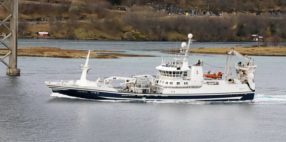 Ringnotbåten «Steinevik» tungt lastet med nvg-sild på vei gjennom Tjeldsundet.