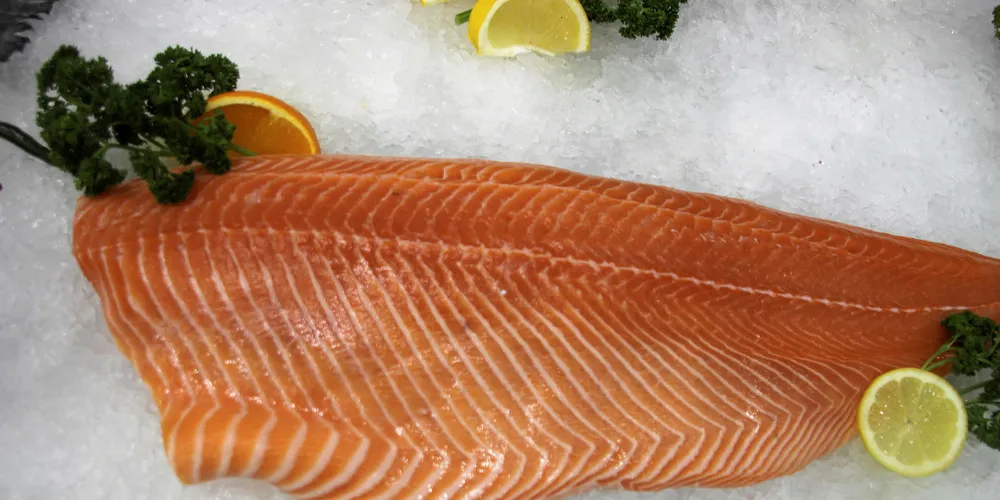 laksefilet salmon filet on ice