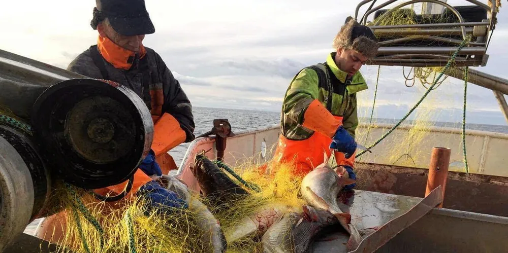 Ungdommer som skal bli fiskere prioriterer fagbrev. Nå åpnes det for at erfarne fiskere også kan ta fagbrev som fiskere.