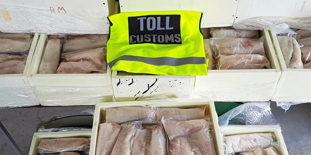 KRAFTIG ØKNING: Aldri før har tollerne i Troms og Finnmark stoppet så mye fisk ved grenseoverganger som i år. Totalt i Troms og Finnmark er det beslaglagt nær 84 prosent mer fisk hittil i år enn hele fjoråret sammenlagt. Her et beslag fra 2017 da 311 kilo ble stoppet ved grenseovergangen Kivilompolo i Finnmark.