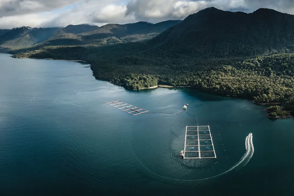Yadran salmon farming site.