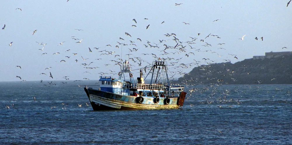 Sardine Boat - Essaouira, Morocco - Flickr/ag_gilmore