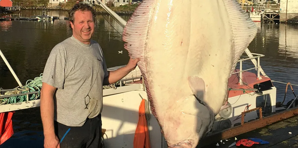 Kveitelinefisker Bjørn Jørgensen fra Senja opplever av han presses ut av gode kveitefiskeplasser ved Sørøya i Vest-Finnmark fordi større båter setter lina over hans redskap og ikke varsler om utsatt linebruk slik regelverket krever.