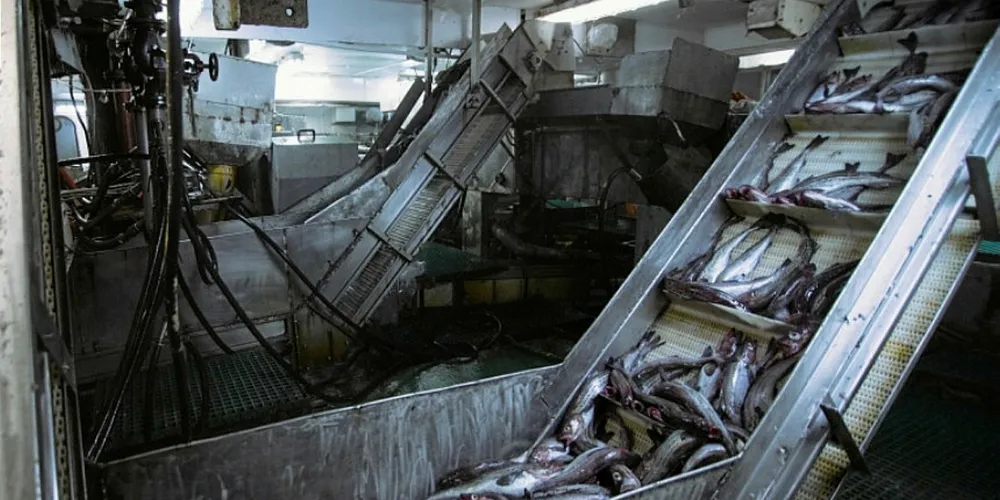 Russian Fishery.