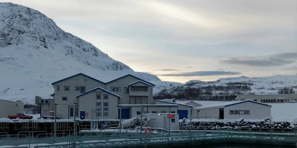 Arnøy Laks Slakteri med ventemærer. Skjervøy kommune i Troms.Foto: Arnøy Laks AS
