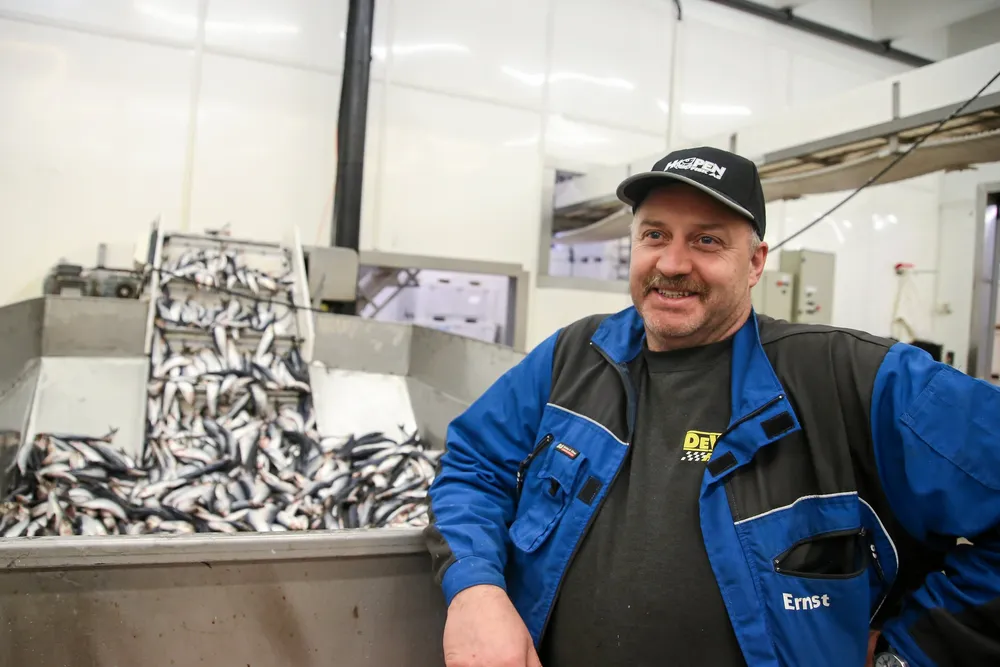 Ernst Iseli og resten av gjengen ved Hopen Fisk hadde rigget seg klar for makrellsesong, men har så langt kjøpt mest nvg-sild. Bildet er tatt ved en tidligere anledning.