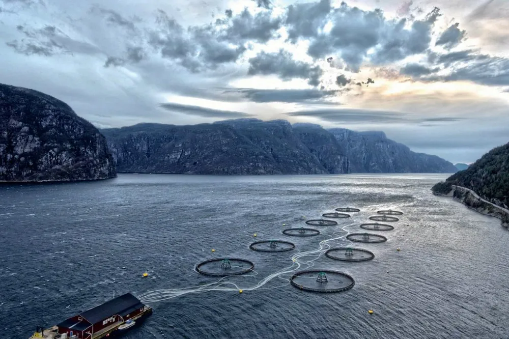The case concerns Mowi's proposal for a salmon farm south of Shot Head in outer Bantry Bay. The picture is not related to the article.