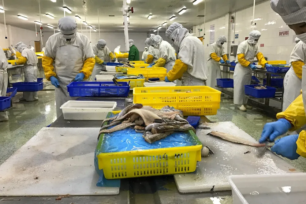 Labor costs in China have increased steadily over the past decade, making it less attractive for labor-intensive seafood processing than lower-cost countries such as Vietnam, India, or Indonesia.