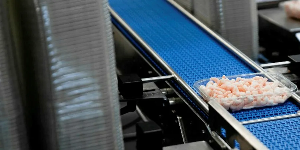 UK frozen seafood wholesaler Sykes Seafood launched its E-commerce platform in September.