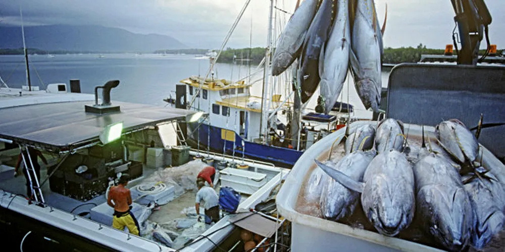 Canned tuna brands fail to battle modern slavery at sea.