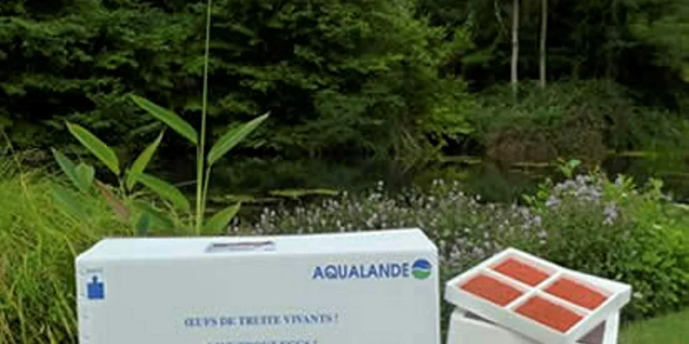 Aqualande trout eggs.