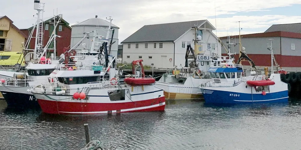 Lofoten Viking på Værøy får ikke gjort jobben i toppsesongen uten arbeidskrafta fra utlandet.